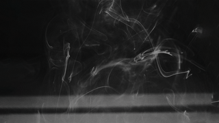 How the Science Behind Scent Shapes Our World