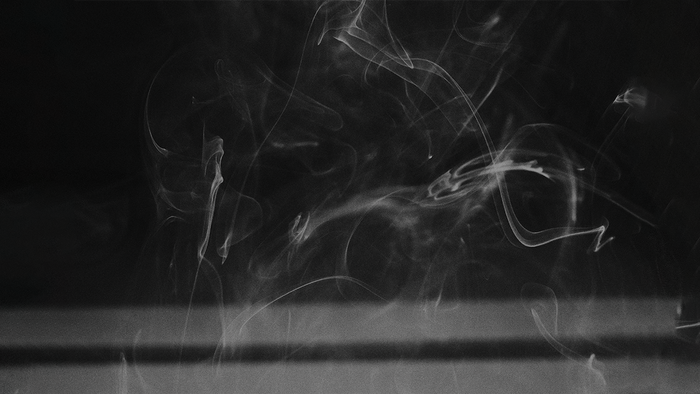 How the Science Behind Scent Shapes Our World