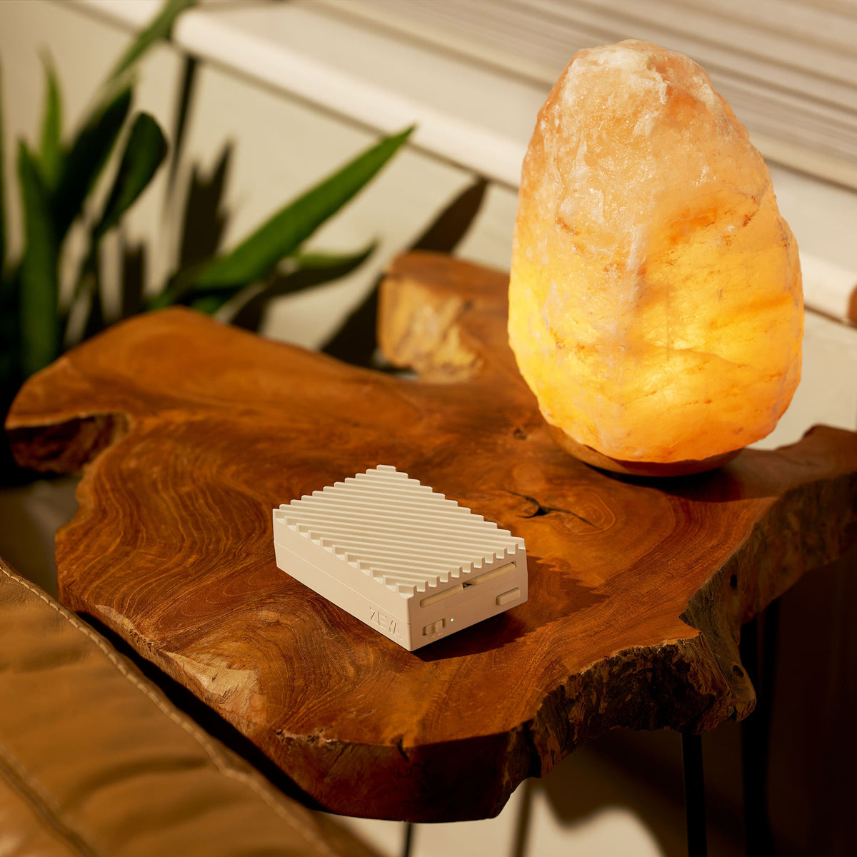 ZEYA Ritual Bundle diffusers and fragrance cards in a lifestyle setting